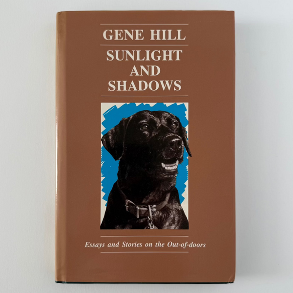 Sunlight and Shadows - 1st Edition