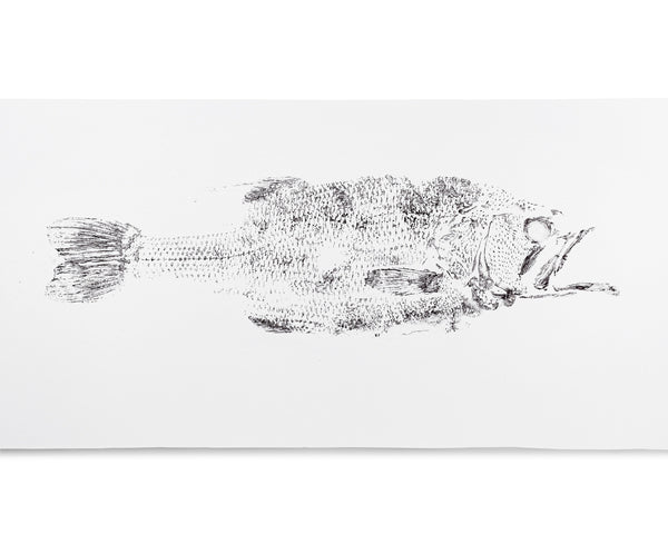 Largemouth Bass Framed Print