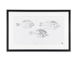 Bluegill Framed Print