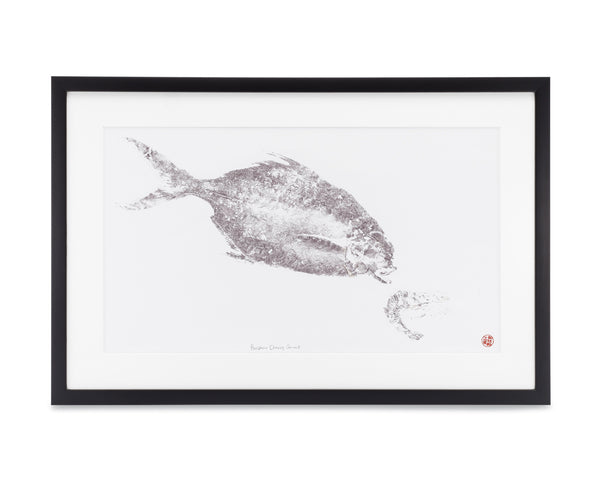 Pompano Framed Print